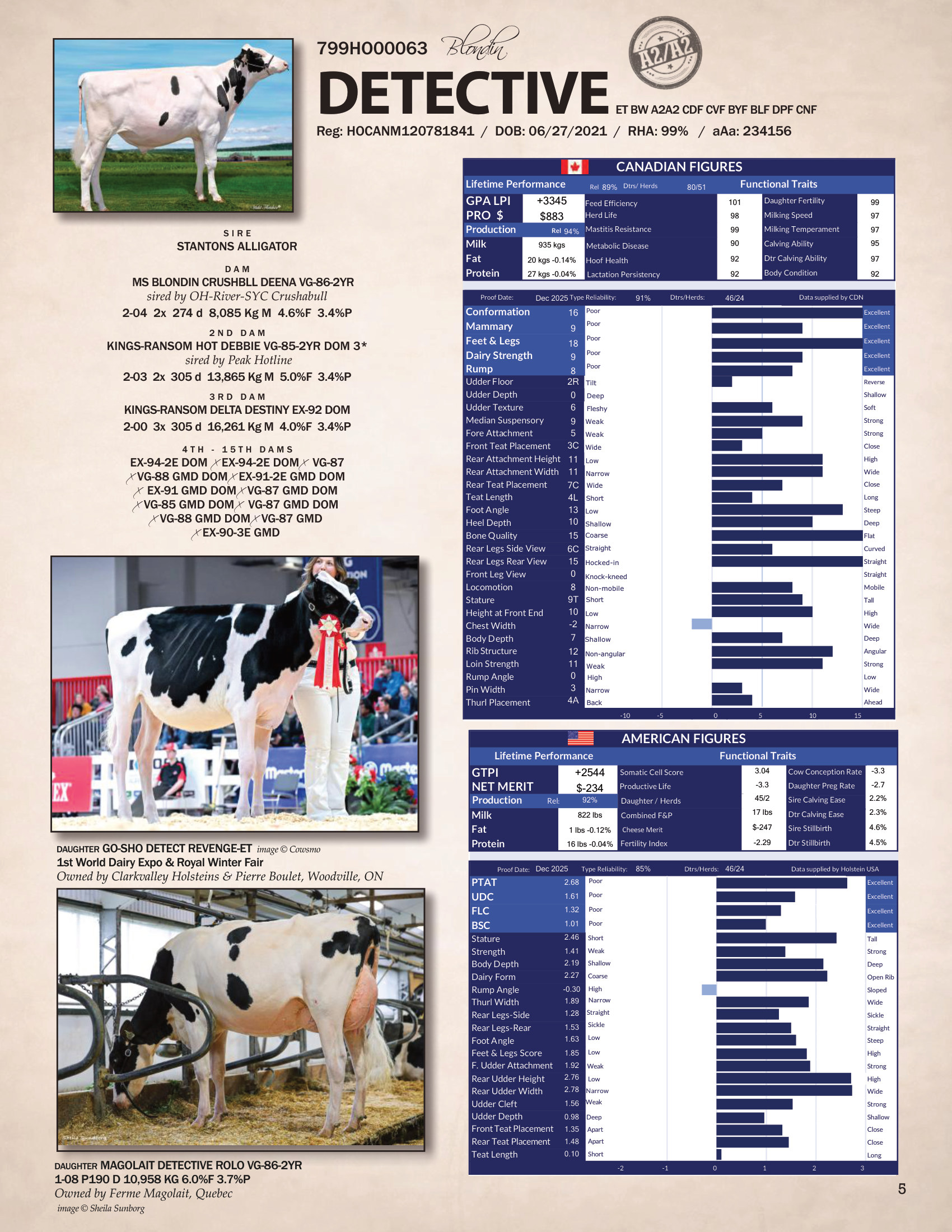 DETECTIVE — 799HO00063